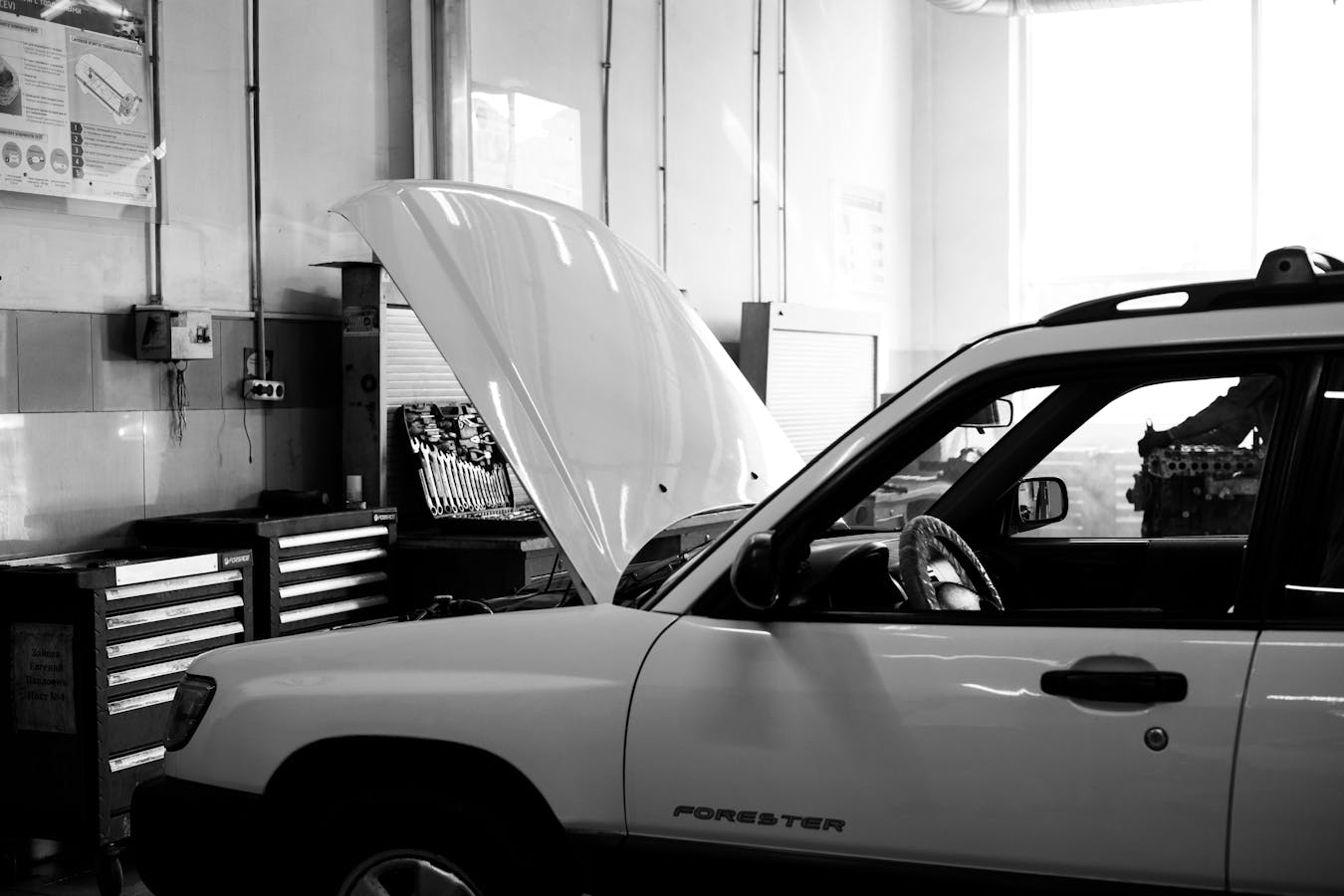 pexels-photo-8986035.jpeg pexels-photo-8986035.jpeg