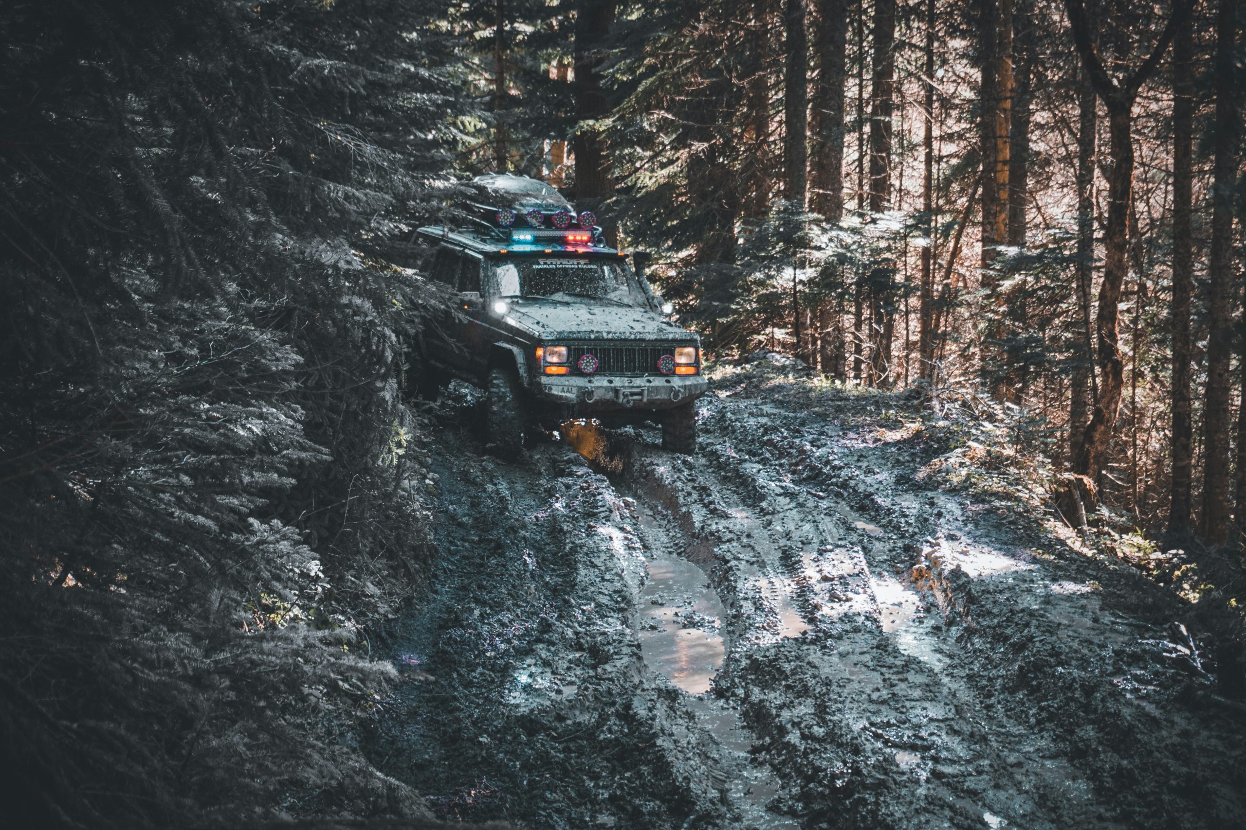 ridvan-yuksel-35KqS6atUJQ-unsplash